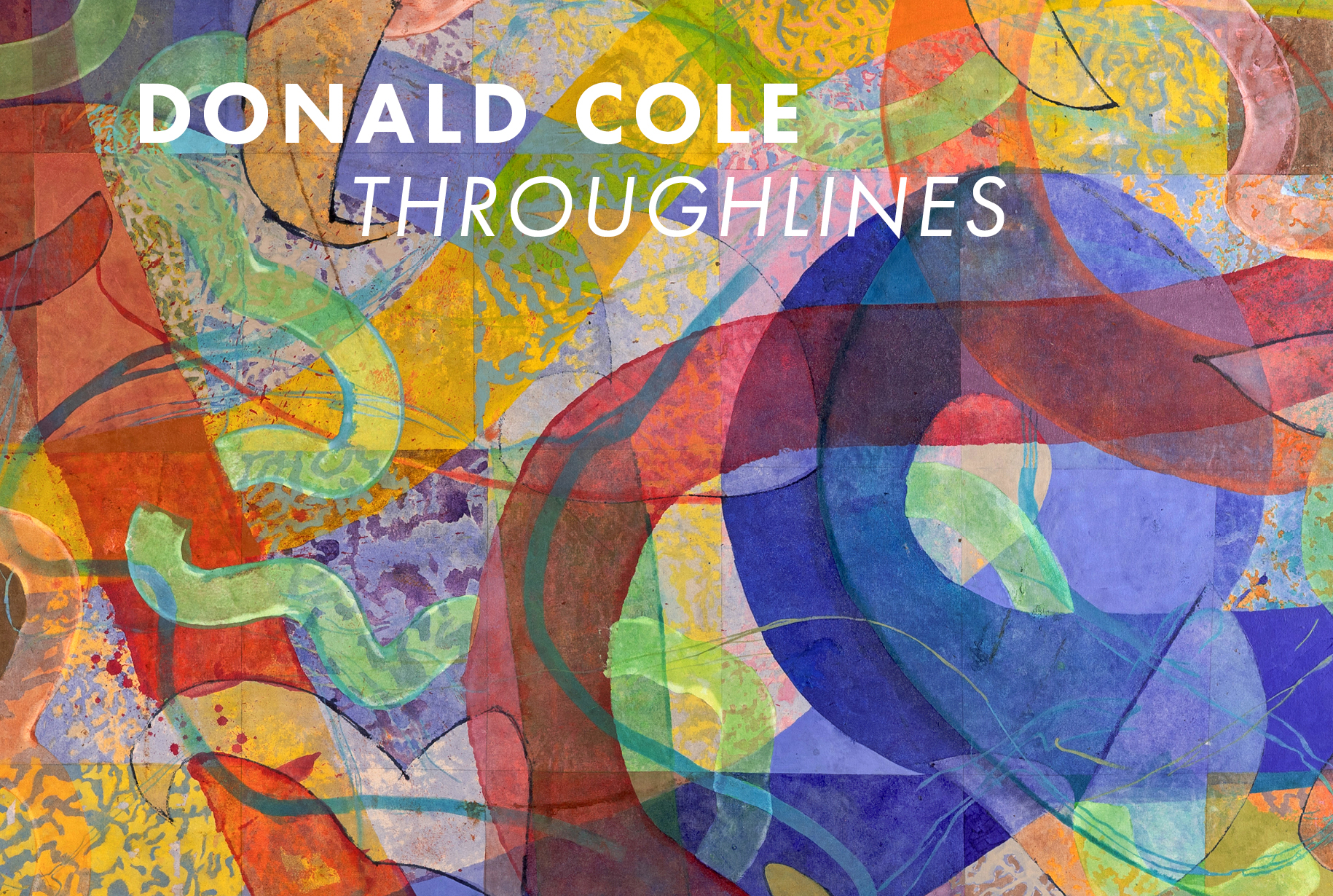 Donald Cole | “Throughlines”